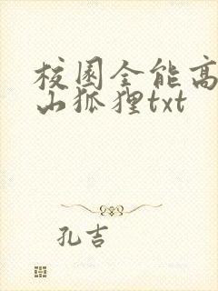 校园全能高手安山狐狸txt