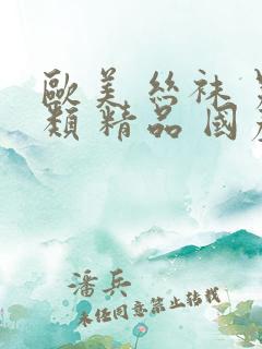 欧美 丝袜 另类 精品 国产