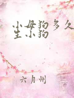 小母狗多久可以生小狗