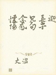 怀念兄长逝世的伤感句子