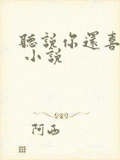 听说你还喜欢我 小说