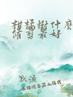 柑橘树什么时候修剪最好