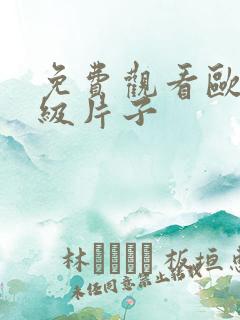 免费观看欧美一级片子