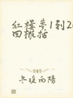 红楼梦1到20回概括