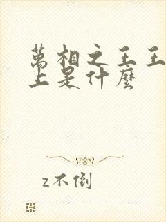 万相之王王境之上是什么