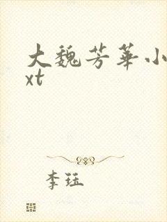 大魏芳华小说txt 大魏芳华小说txt