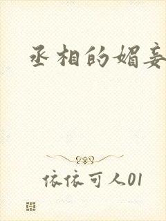 丞相的媚妾