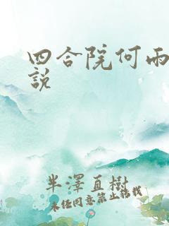 四合院何雨柱小说