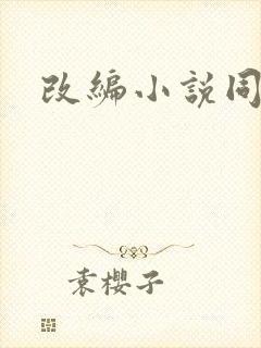 改编小说同人版