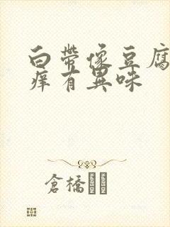 白带像豆腐渣又痒有异味