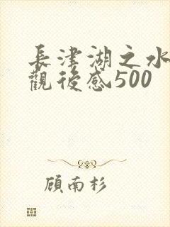 长津湖之水门桥观后感500