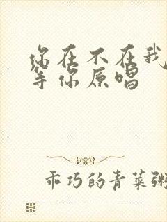 你在不在我都在等你原唱
