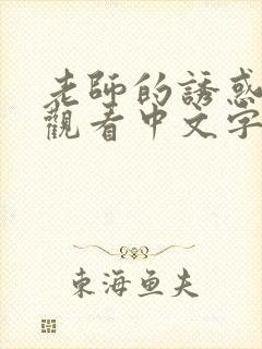 老师的诱惑在线观看中文字幕
