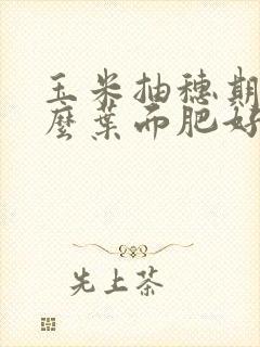 玉米抽穗期喷什么叶面肥好