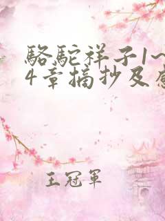 骆驼祥子1~24章摘抄及感悟