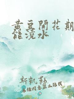 黄豆开花期能不能浇水