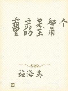 霸宋是哪个小说里的主角