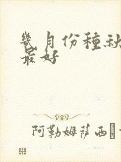 几月份种秋黄瓜最好 几月份种秋黄瓜最好
