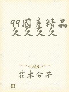99国产精品久久久久久