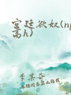 宫廷欲奴(np高h)