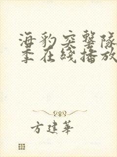 海豹突击队第8季在线播放