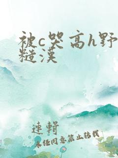 被c哭高h野外糙汉