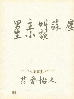 男主叫苏尘的重生小说