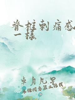 脊椎刺痛感针扎一样
