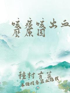 咳痰咳出血是什么原因