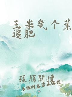 玉米几个叶可以追肥 玉米几个叶可以追肥