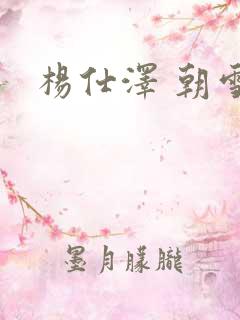 杨仕泽 朝雪录