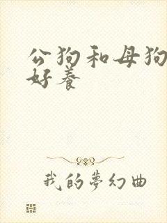 公狗和母狗哪种好养 公狗和母狗哪种好养