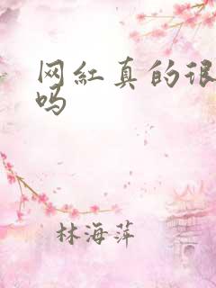 网红真的很赚钱吗