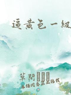 逼黄色一级