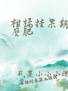 柑橘挂果期施什么肥