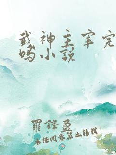 武神主宰完结了吗小说