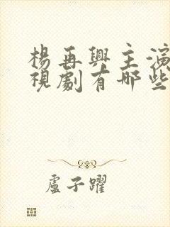 杨再兴主演的电视剧有哪些