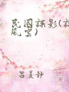 民国谍影(谍影风云)