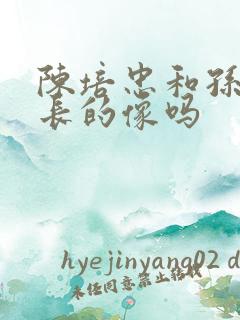 陈培忠和孙小果长的像吗