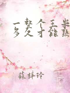 一整个玉米要煮多久才能熟