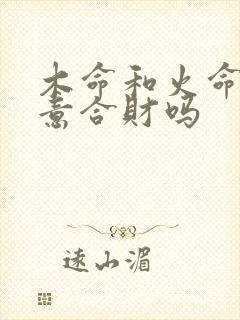 木命和火命做生意合财吗
