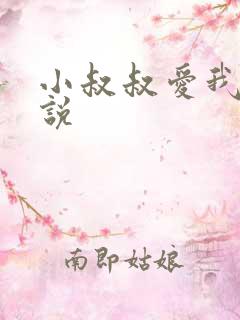 小叔叔爱我的小说