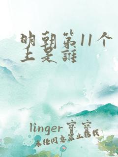 明朝第11个皇上是谁