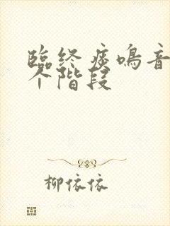 临终痰鸣音是哪个阶段