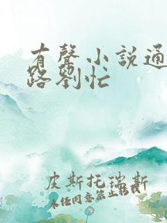 有声小说通天之路刘忙