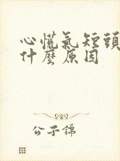 心慌气短头晕是什么原因