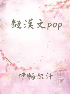 糙汉文pop