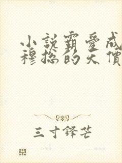 小说霸爱成瘾:穆总的天价小新娘全集