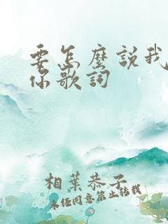 要怎么说我不爱你歌词
