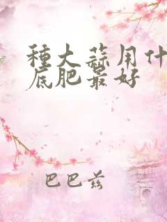 种大蒜用什么做底肥最好